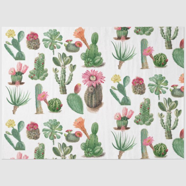 Farbige Aquarellkaktus und Sukkulenten Blume Seidenpapier (Vorderseite)