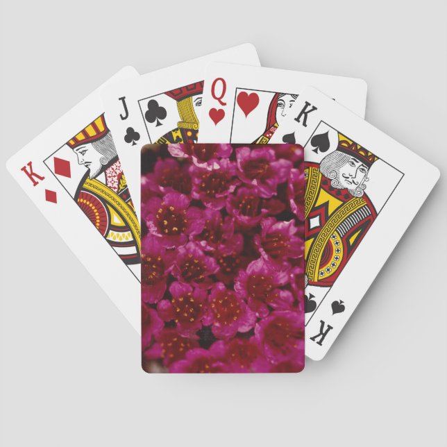 Farbige arktische Lila Saxibrech Wildblume Design Spielkarten (Rückseite)
