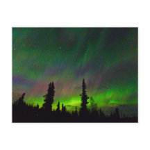 Farbige Aurora über Alaska