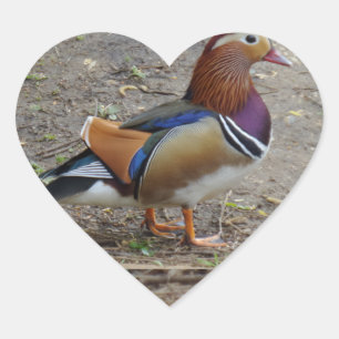 Farbige Bird-Heft-Aufkleber Herz-Aufkleber