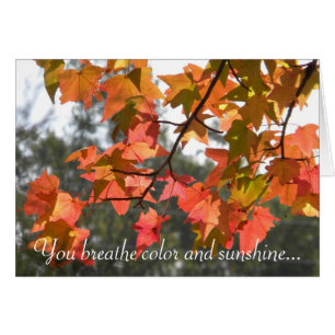 Farbige Blätter des Herbstes