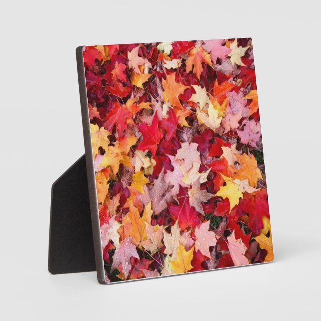 Farbige Blätter des Herbstes Fotoplatte (Vorderseite)