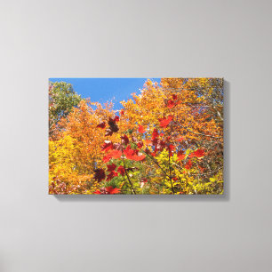 Farbige Blätter des Herbstes Leinwanddruck