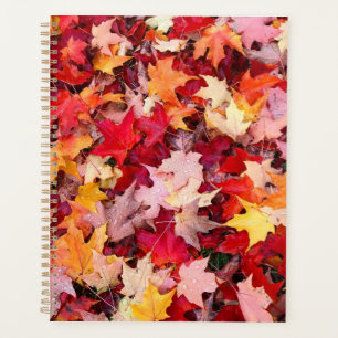 Farbige Blätter des Herbstes Planer