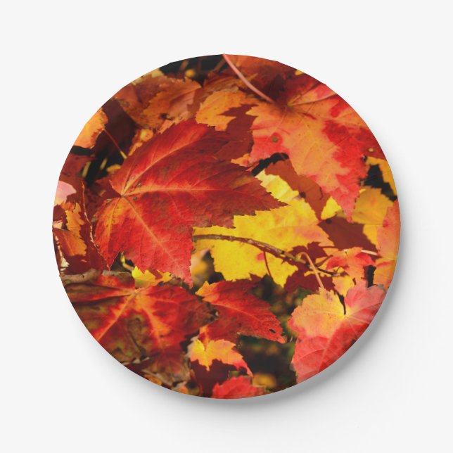Farbige Blätter im Herbst, goldfarbenes orangefarb Pappteller (Vorderseite)