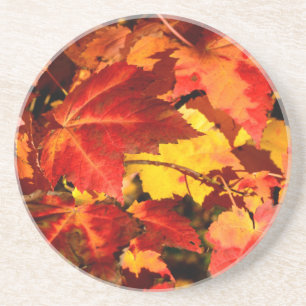 Farbige Blätter im Herbst, goldfarbenes orangefarb Sandstein Untersetzer