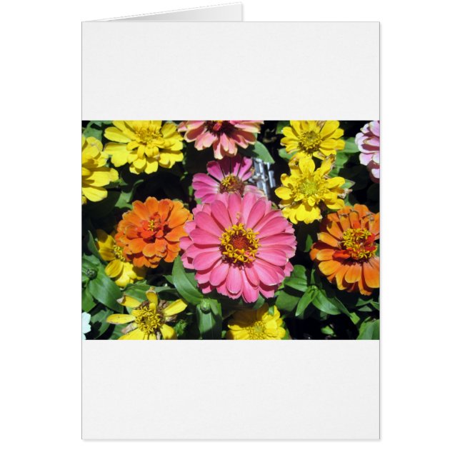 Farbige Blume (Vorne)