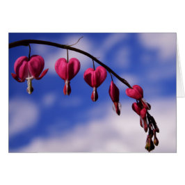 [Farbige Blume] Blutung Herzgraukarte