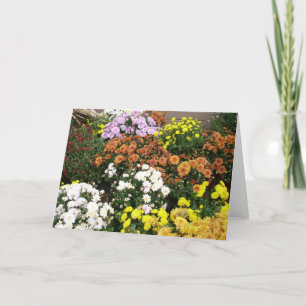 Farbige Blume im Herbst Feiertagskarte