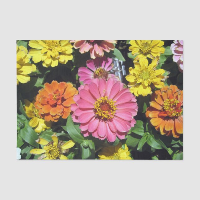 Farbige Blume, kundenspezifisches 10lb-Gewebe, Wei Seidenpapier (Vorderseite)