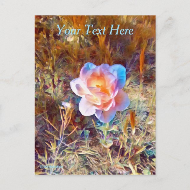 Farbige Blume Postkarte (Vorderseite)