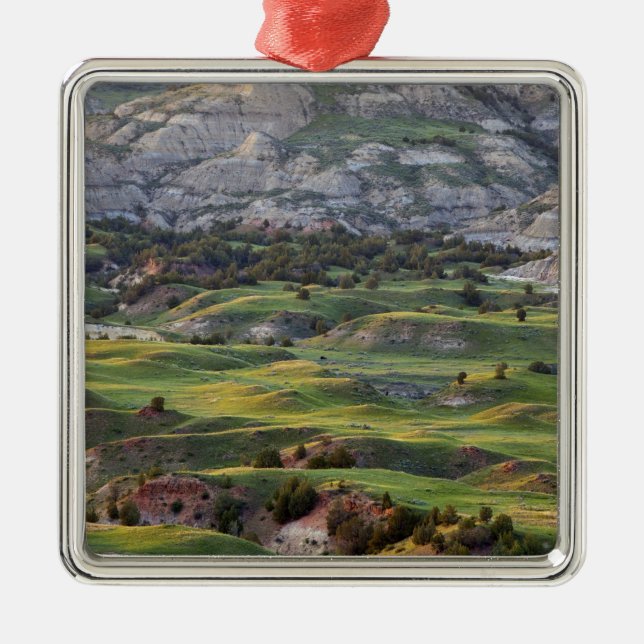 Farbige Böden von Buck Hill mit Blick auf Silbernes Ornament (Vorne)