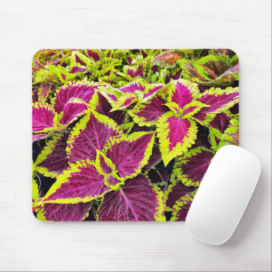 Farbige Coleus-Blätter Mousepad