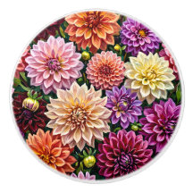 Farbige Dahlienblumen