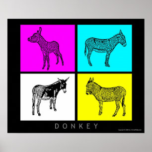 Farbige Donkeys Poster