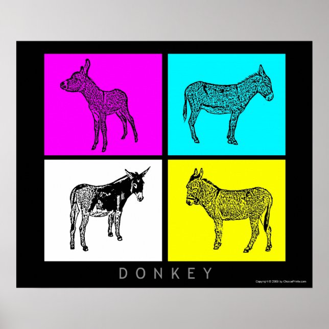 Farbige Donkeys Poster (Vorne)