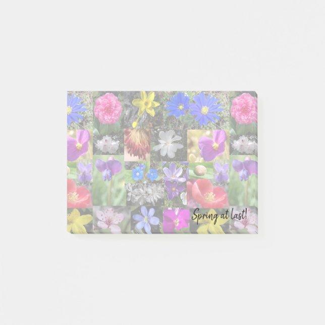 farbige Feder - Notizblock (Vorderseite)