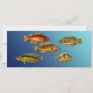 Farbige Fische Einladung