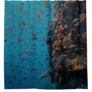 Farbige Fische und Riffe Duschvorhang