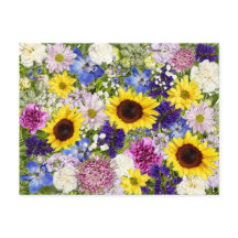 Farbige Frühlingsblumen Blumenzwiebeln Foto