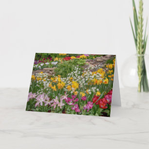 Farbige Frühlingsblumen in voller Blüte Karte