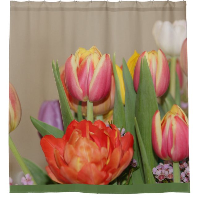 Farbige Frühlingsfotografie der Blume Duschvorhang (Vorderseite)