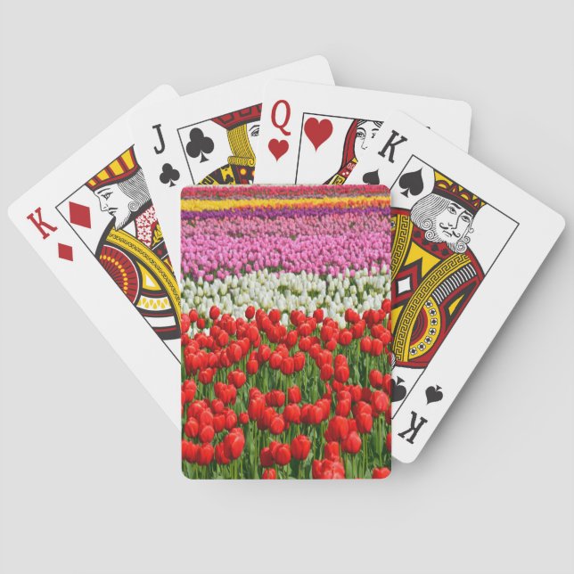 Farbige Frühlingstüppchen Spielkarten (Rückseite)