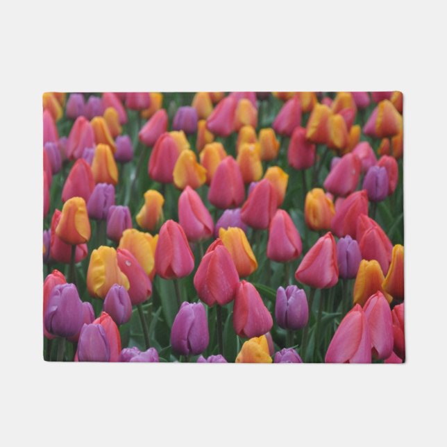 Farbige Frühlingtulips Fußmatte (Vorderseite)