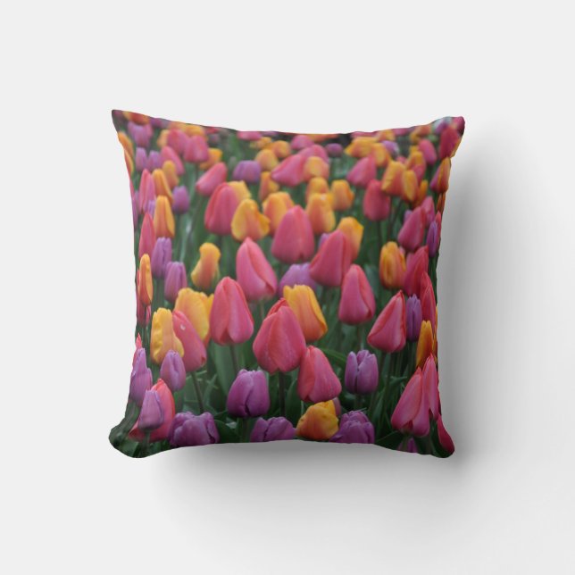 Farbige Frühlingtulips Kissen (Vorderseite)