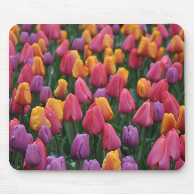 Farbige Frühlingtulips Mousepad (Vorne)