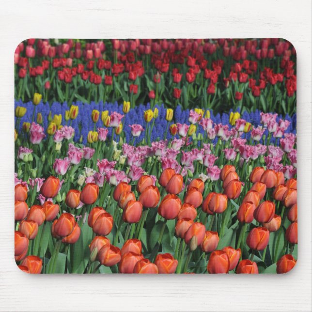 Farbige Frühlingtulips Mousepad (Vorne)