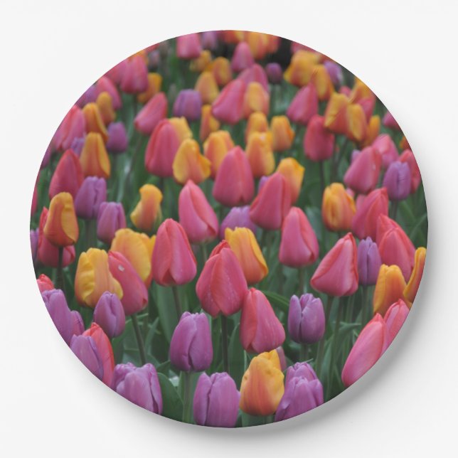 Farbige Frühlingtulips Pappteller (Vorderseite)