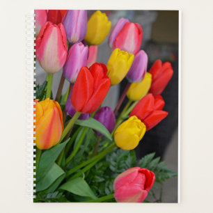 Farbige Frühlingtulips Planer
