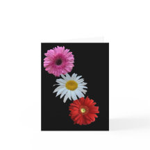 Farbige gemischte florale Daisy-Flachnotizkarte