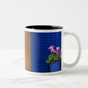 Farbige Gestaltungs Kontraste an einem Wohngebäude Zweifarbige Tasse