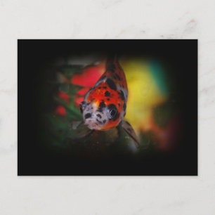Farbige Goldfish Postkarte