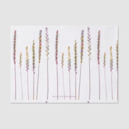 Farbige Gras Seidenpapier