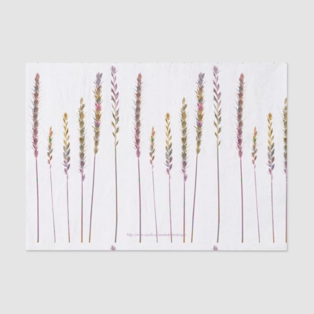 Farbige Gras Seidenpapier (Vorderseite)