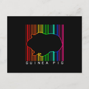 Farbige Guinea   NIEDLICHE GUINEA   Niedliches Tie Postkarte
