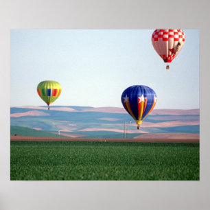 Farbige Heißluftballons schweben über Weizen Poster