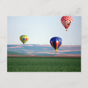 Farbige Heißluftballons schweben über Weizen Postkarte