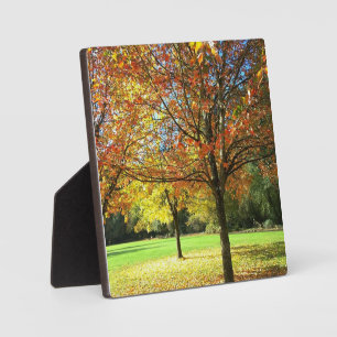Farbige Herbstbäume Fotoplatte