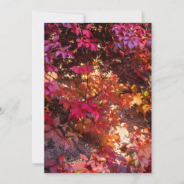Farbige Herbstblätter Feiertagskarte