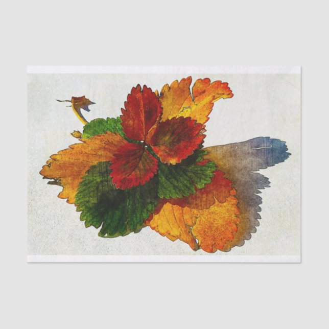 Farbige Herbstblätter Seidenpapier (Vorderseite)