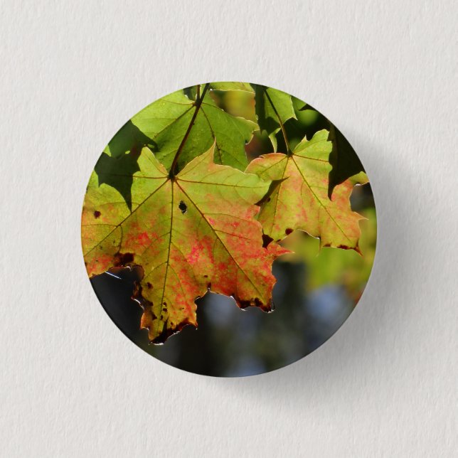 Farbige Herbstlaube Button (Vorderseite)