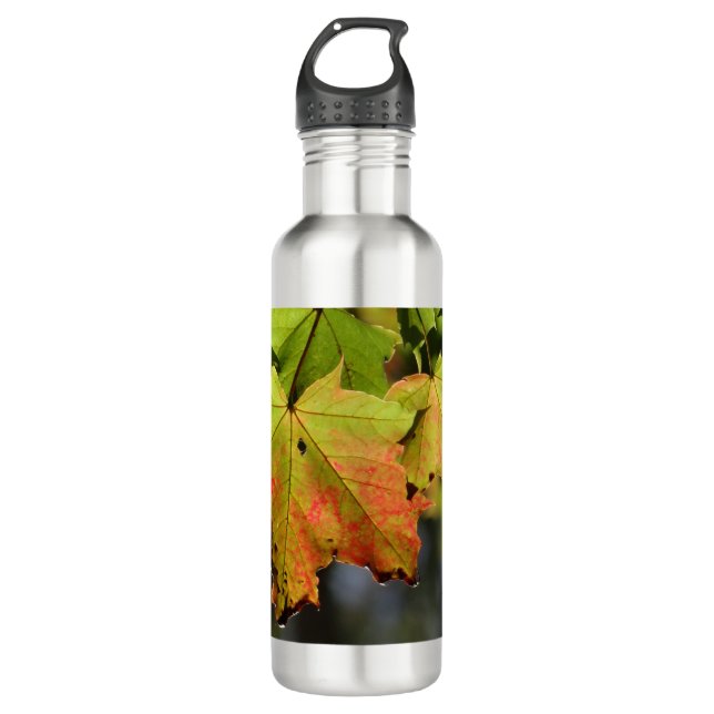 Farbige Herbstlaube Edelstahlflasche (Vorderseite)