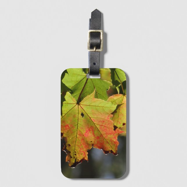 Farbige Herbstlaube Gepäckanhänger (Vorderseite Vertikal)