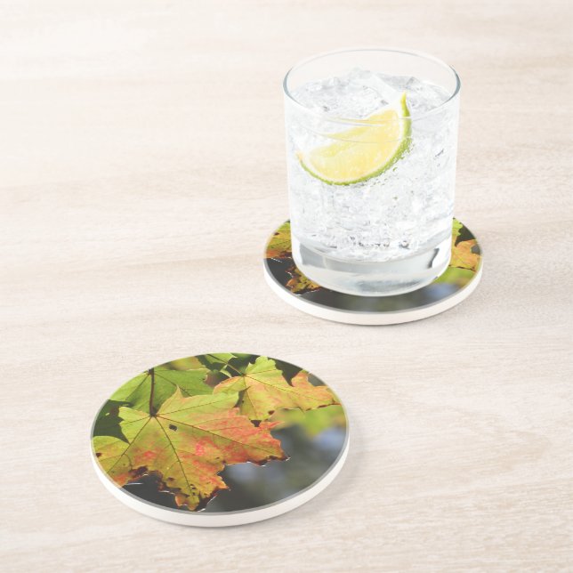 Farbige Herbstlaube Getränkeuntersetzer (Seite)