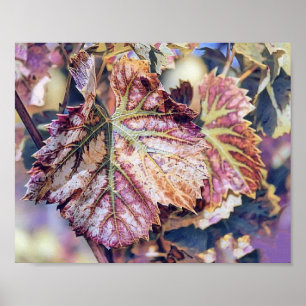 Farbige Herbstlaube mit Herbstfarben Aquarell Poster