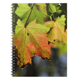 Farbige Herbstlaube Notizblock